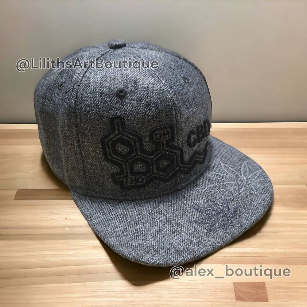 Graphic Embroidered Flat Bill Snapback Cap Heather Gray One Size (V002)